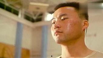 劈雳凤凰全集在线观看,传奇仙侠，热血激战，在线观看，尽享仙侠盛宴  第1张