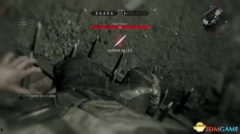 玩家爆料僵尸视频大全集,惊悚揭秘!僵尸视频大全集深度解析 第2张 玩家爆料僵尸视频大全集,惊悚揭秘!僵尸视频大全集深度解析 第2张