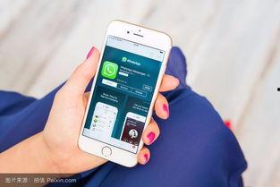 过错手机在线观看,揭秘网络时代的隐私危机与责任归属  第3张